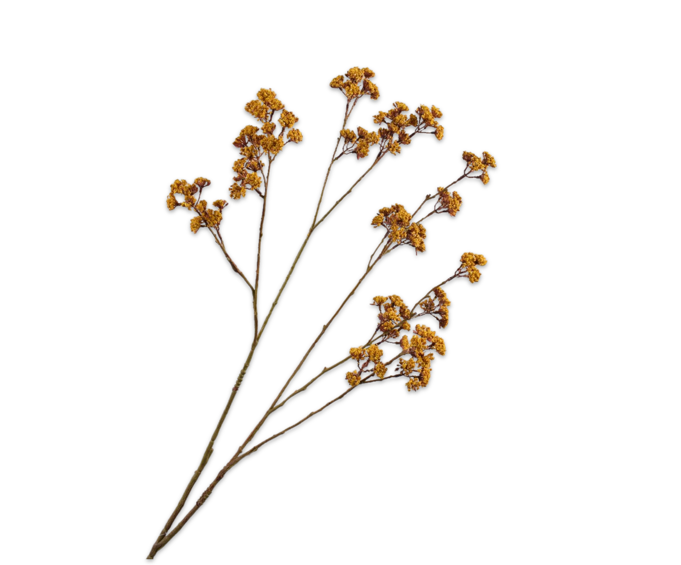 DILLE TAK GEEL  95 cm