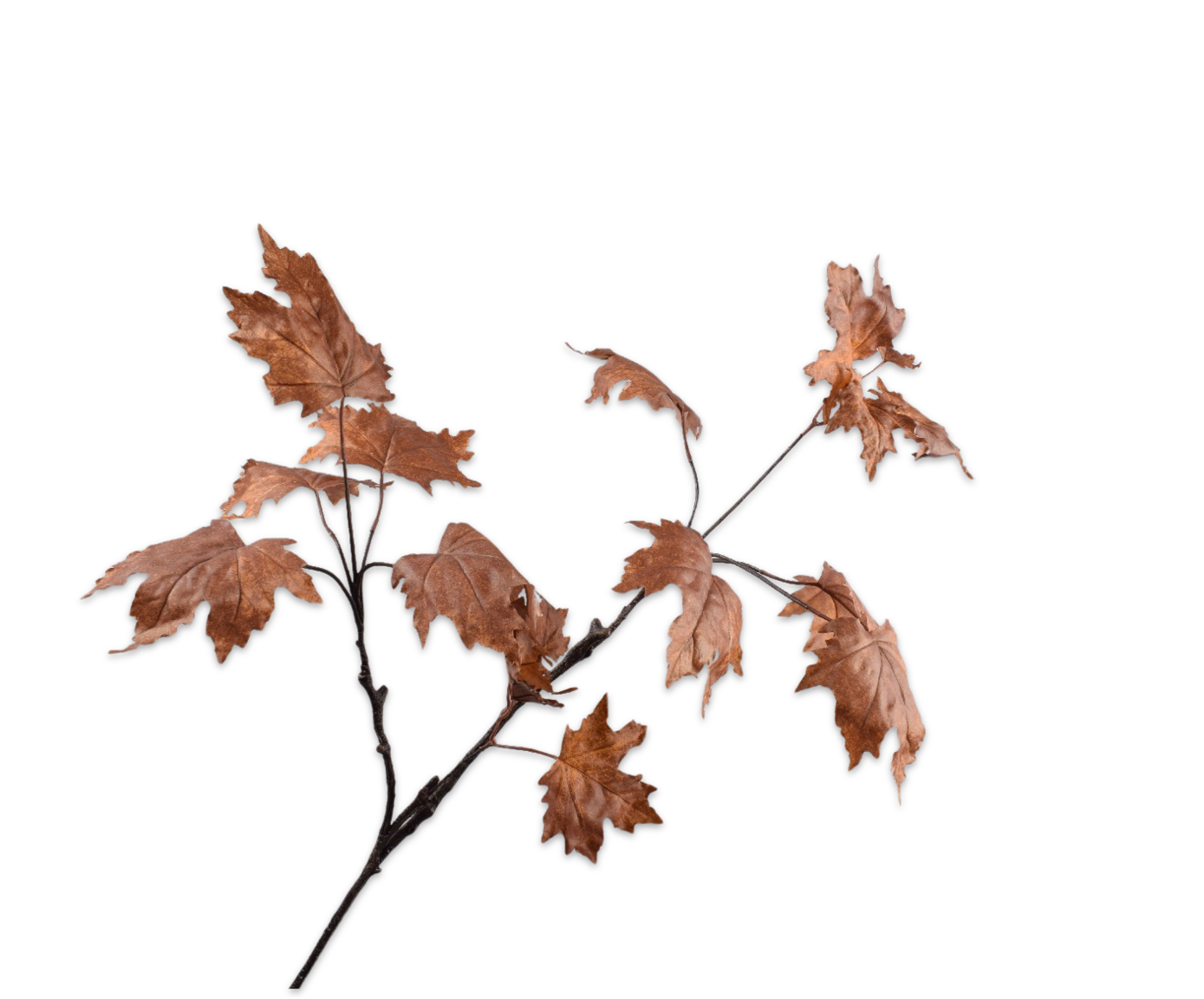 BLADTAK  BRN LT  81 cm