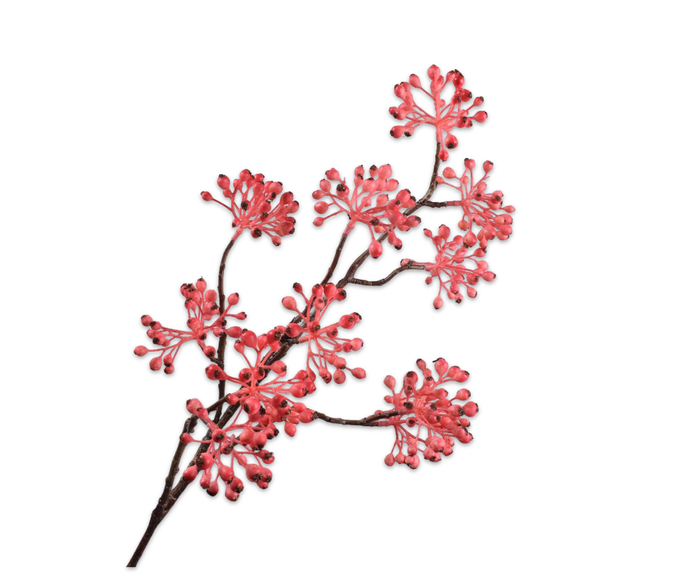 BESSENTAK  ROZE  82 cm