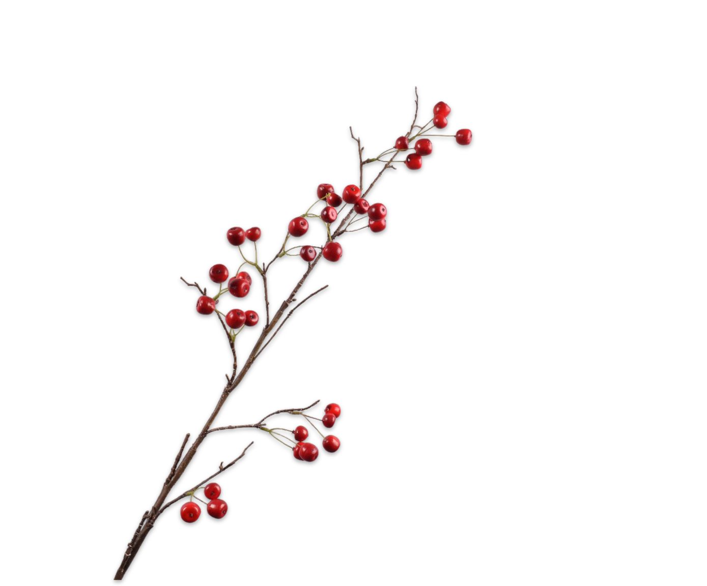 MANZANA RAMA ROJO  99 CM