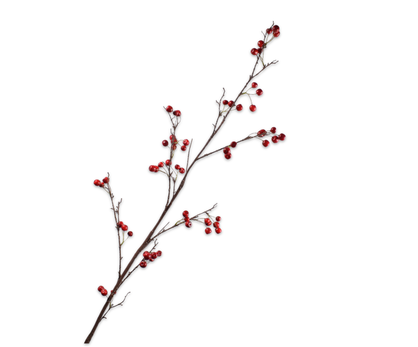 MANZANA RAMA ROJO  168 CM