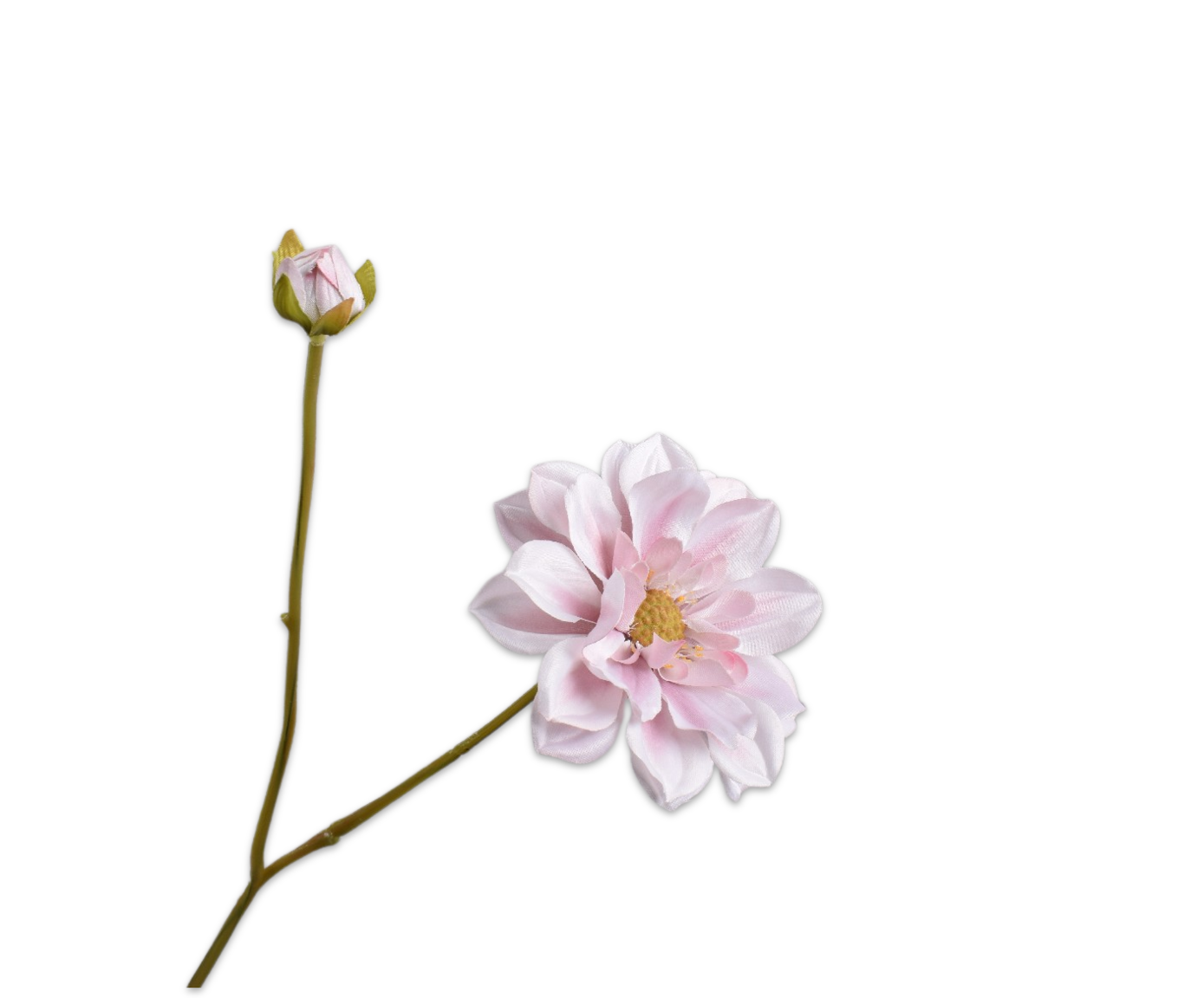 DAHLIA TAK ROZ/CR  48 cm