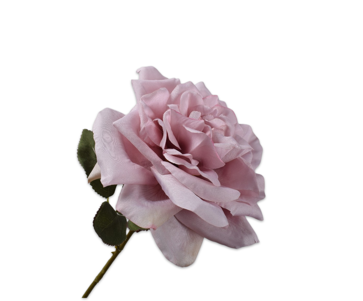 ROOS STEEL ROZE  65 cm