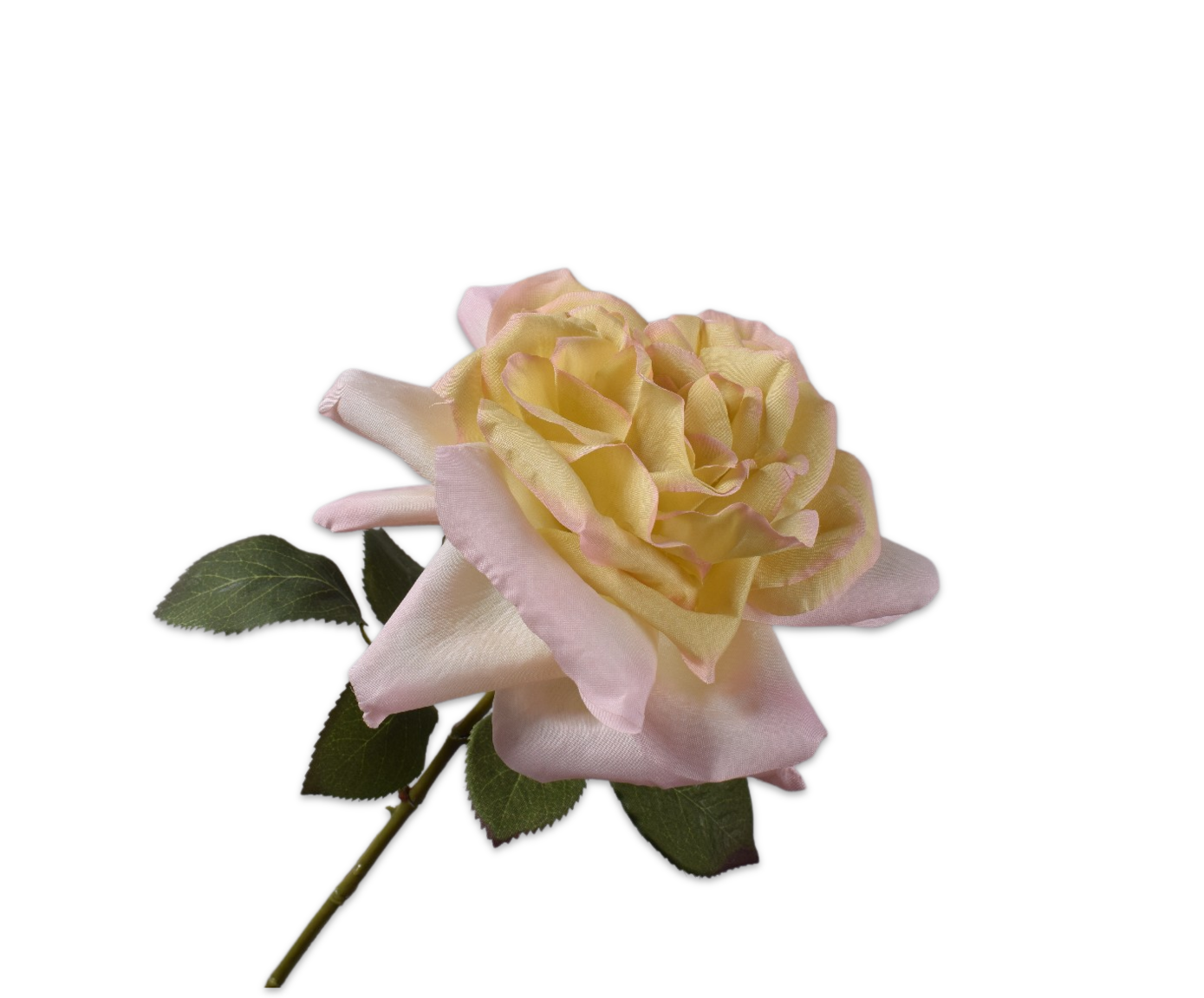 ROOS STEEL ROZ/GL  65 cm