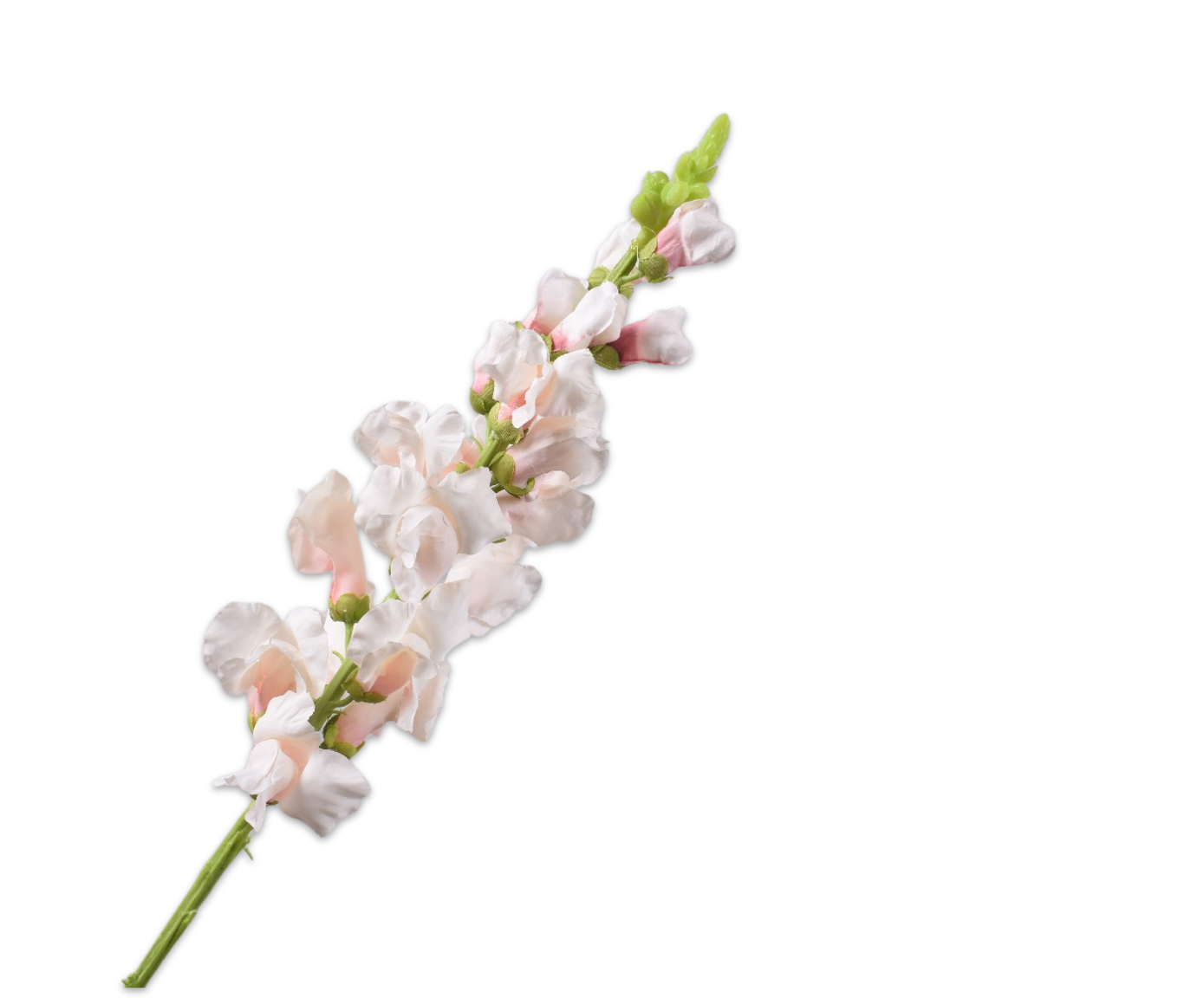 SNAPDRAGON STEM CR/PNK  81 CM