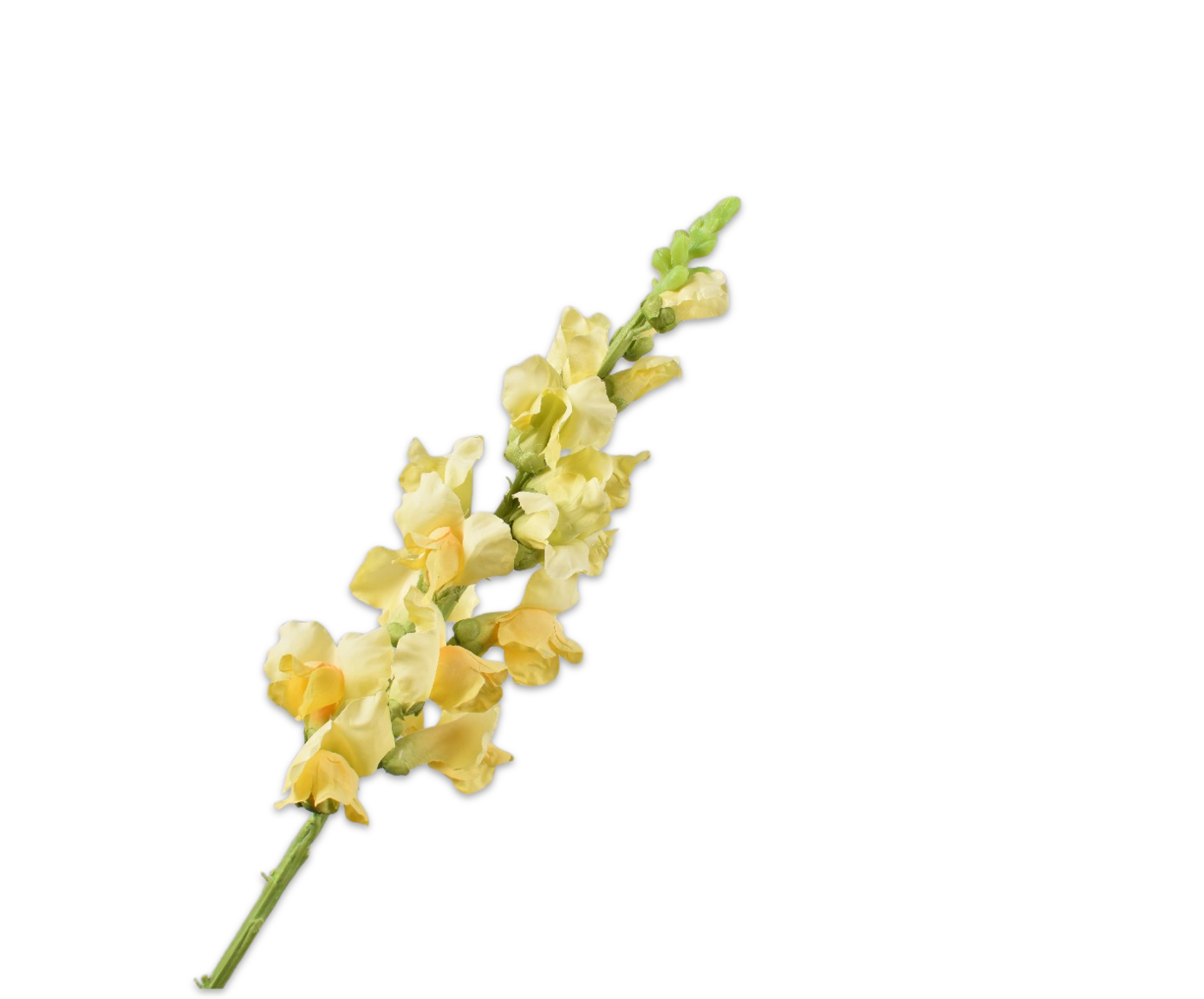SNAPDRAGON STEM YELLOW  81 CM