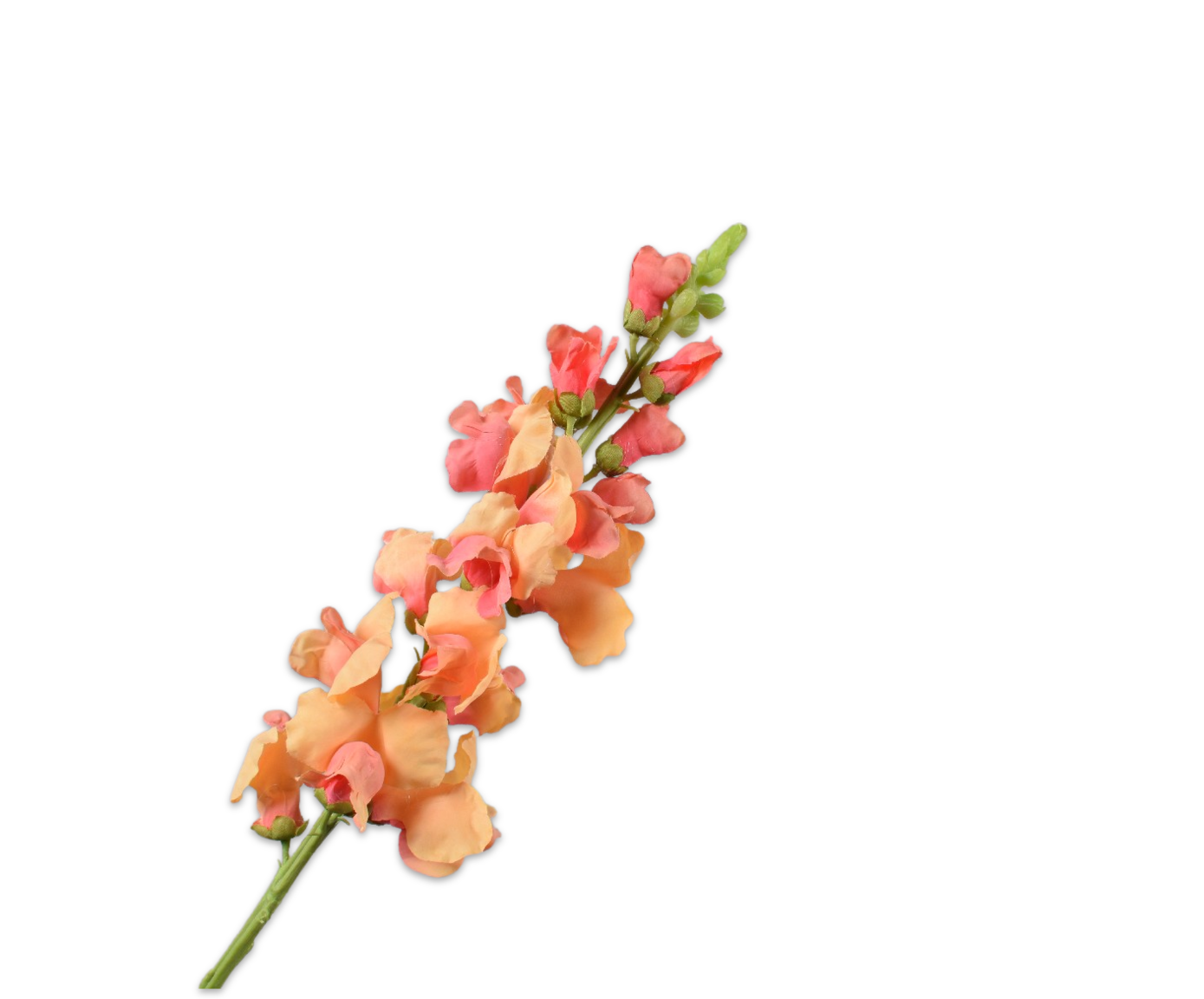 SNAPDRAGON STEM FLAME  81 CM