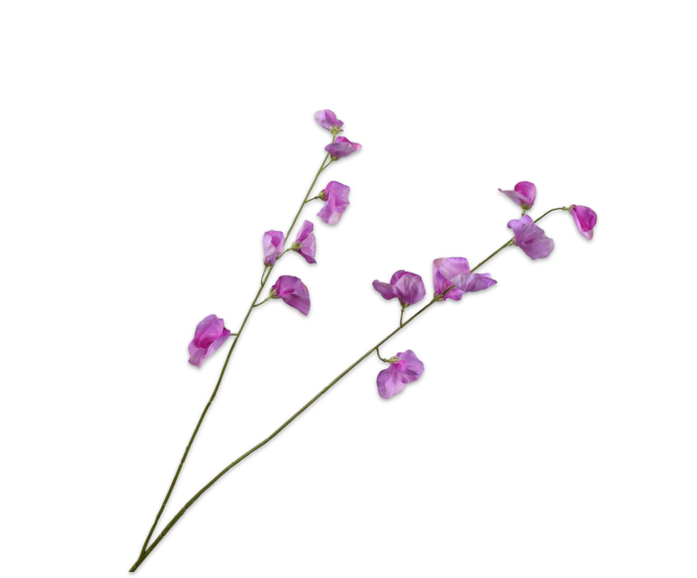 LATHYRUS SPRAY LAVEND RT  89 CM