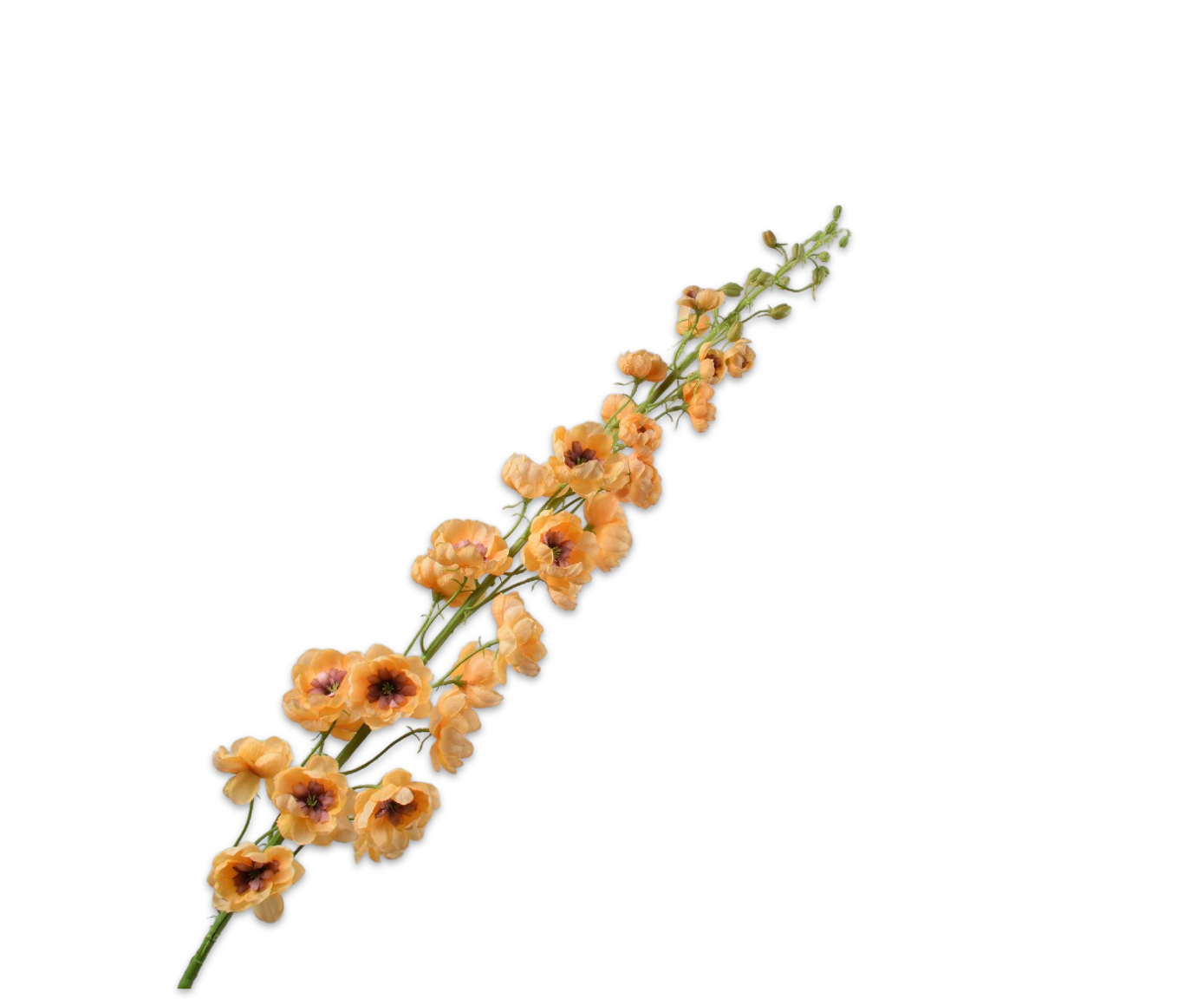 DELPHINIUM STEM ORA LT  127 CM