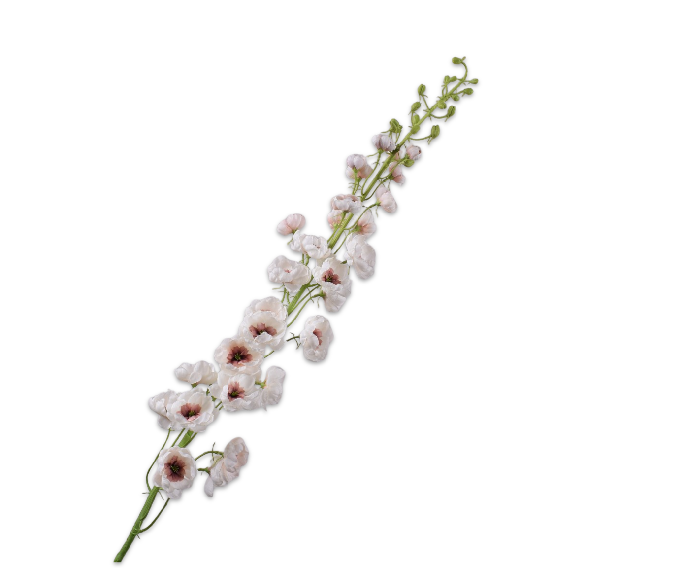DELPHINIUM STEM CREAM  127 CM