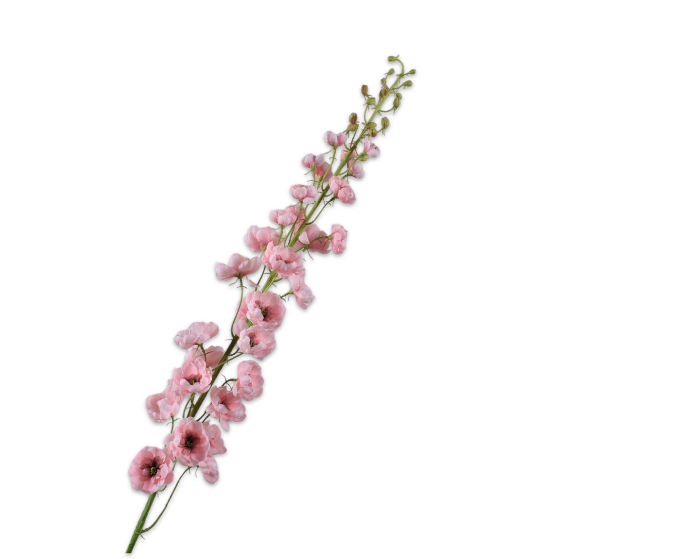 DELPHINIUM STEM PINK  127 CM