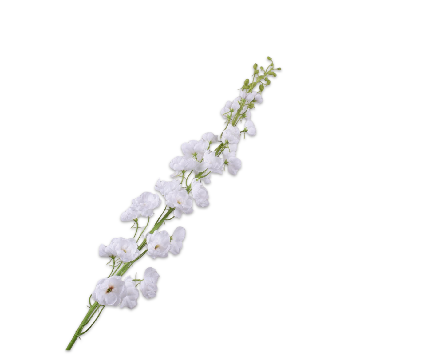 DELPHINIUM STEM WHITE  127 CM