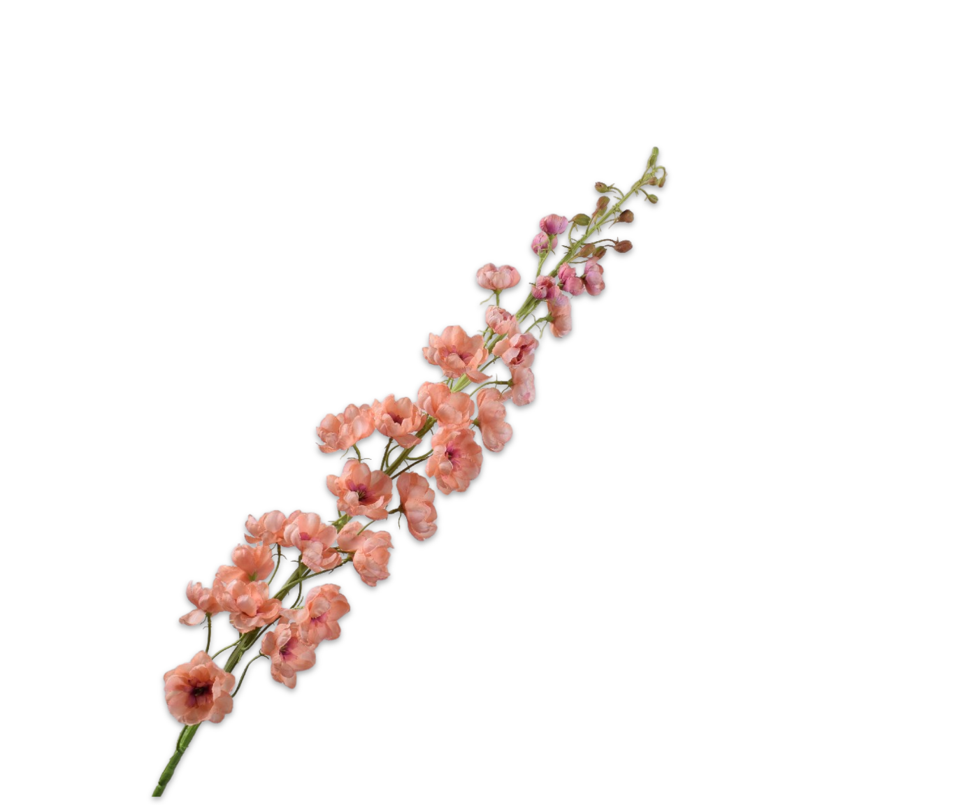 DELPHINIUM STEM PEACH  127 CM