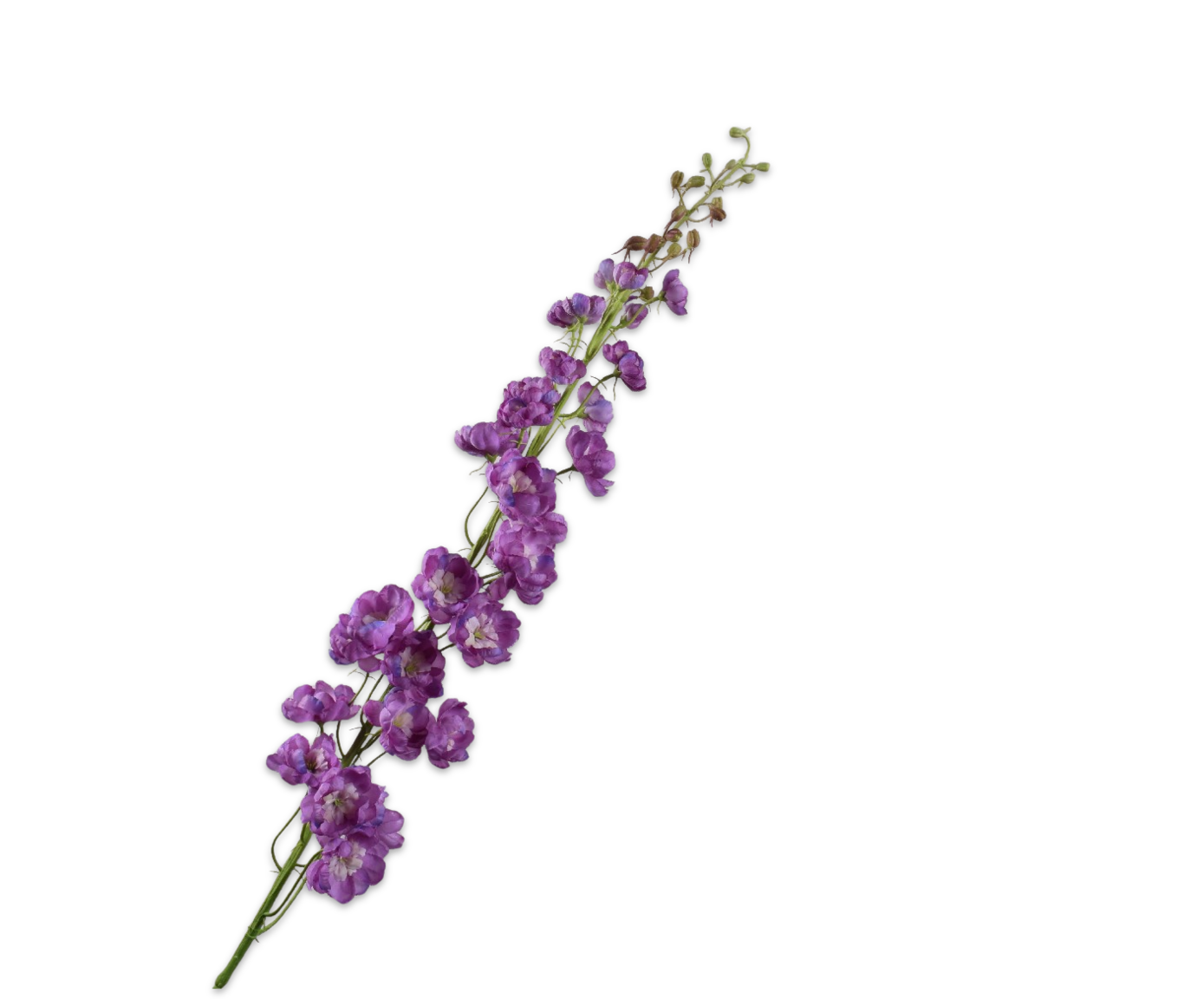 DELPHINIUM STEM PURPLE  127 CM