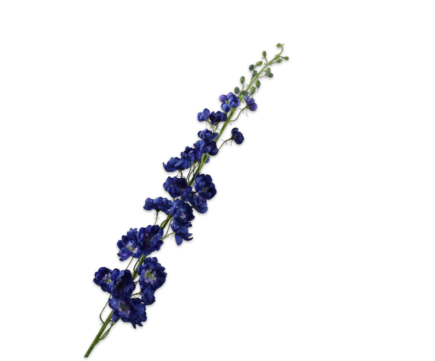 DELPHINIUM STEM PRP DK  127 CM