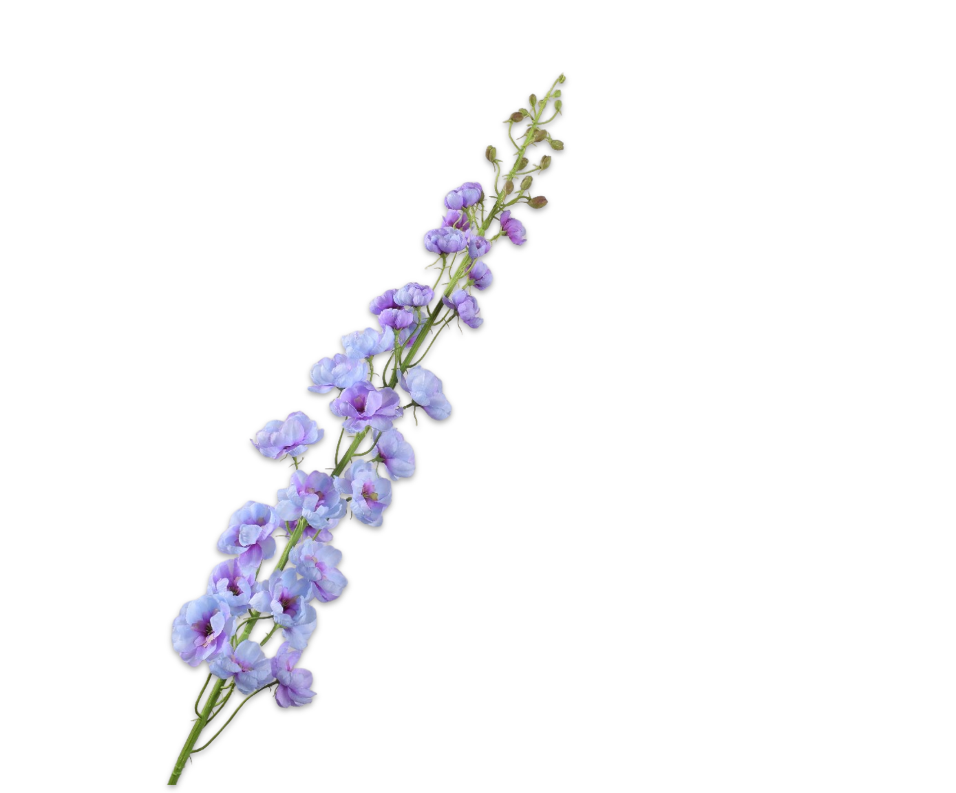 DELPHINIUM STEM LAV LT  127 CM
