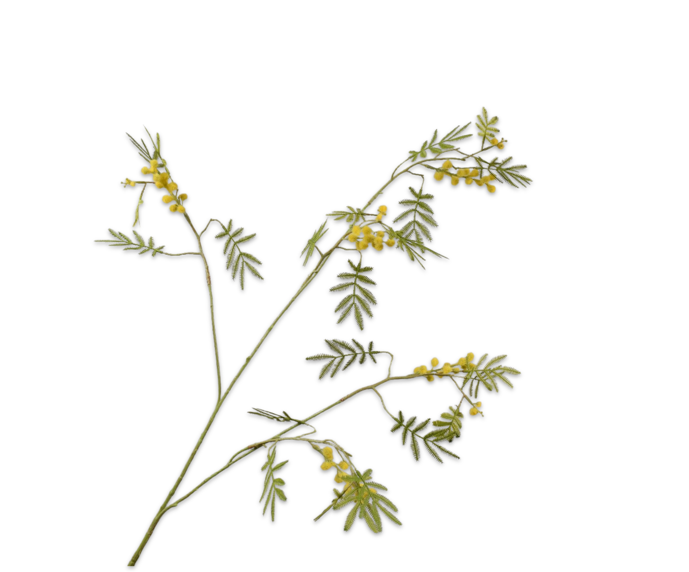 MIMOSA SPRAY YLL/GRN  96 CM