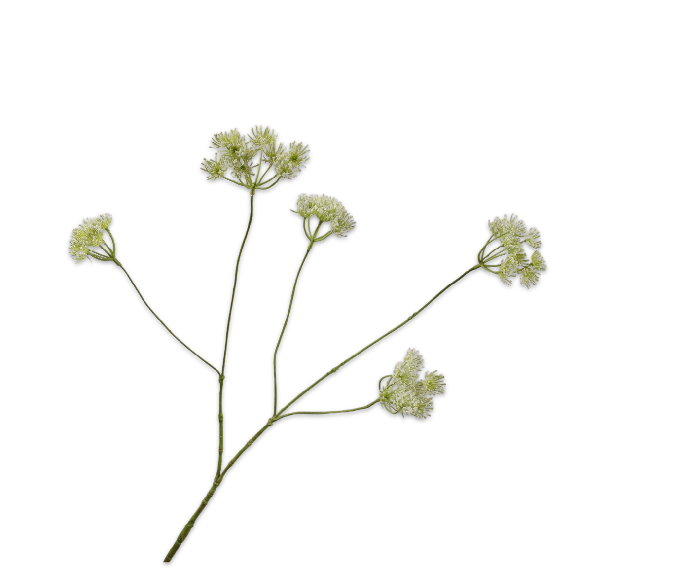 QUEEN AN LACE SPRAY WHITE  83 CM