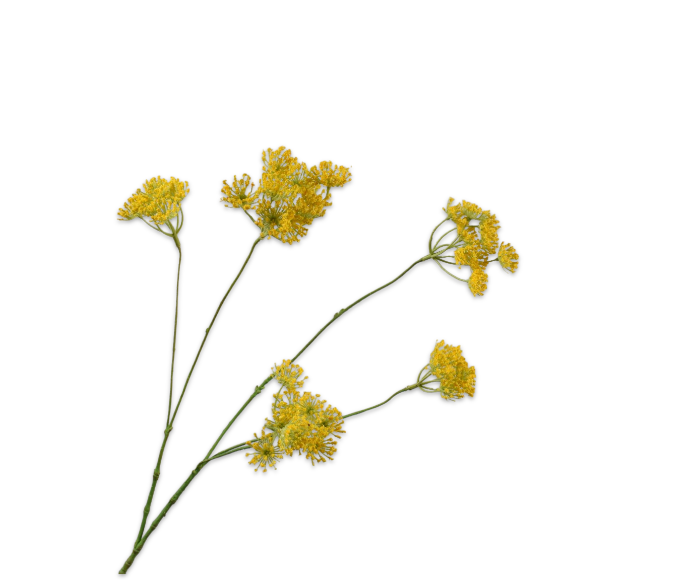 QUEEN AN LACE SPRAY YELLOW  83 CM