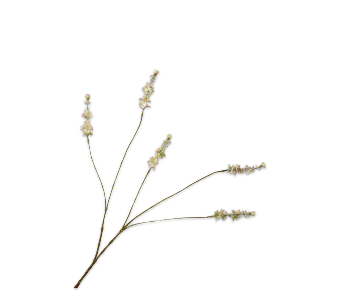 LAVANDA RAMA VERDE  85 CM