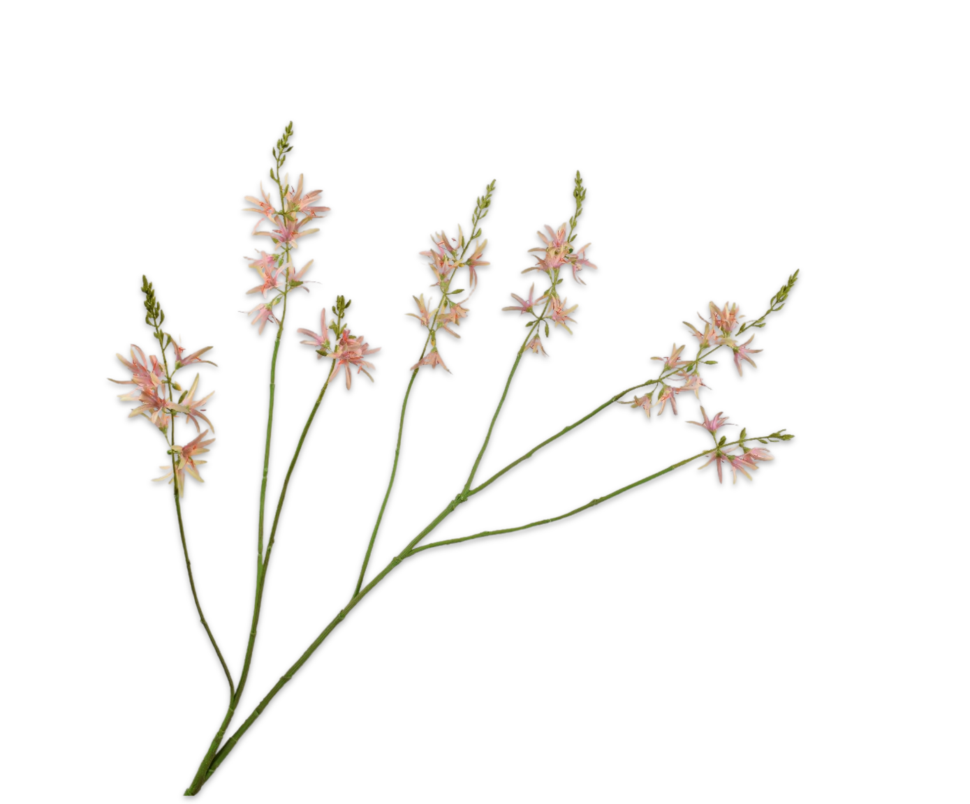 CROCOSMIA SPRAY PNK/GRN  117 CM