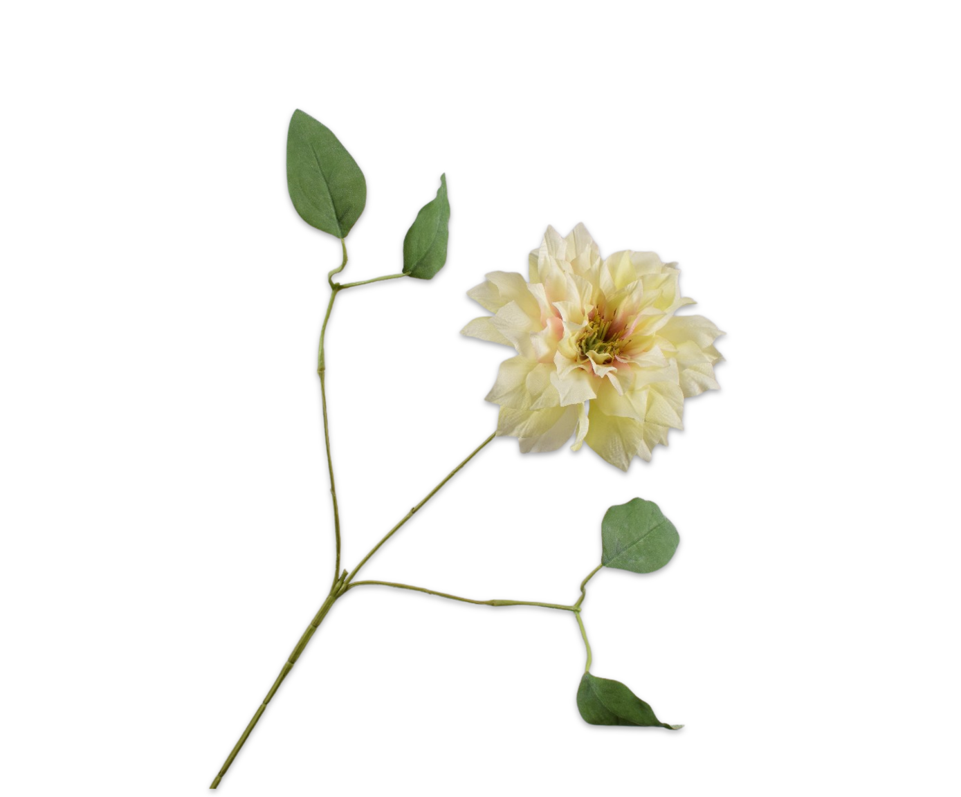 CLEMATIS SPRAY YLL LT  65 CM