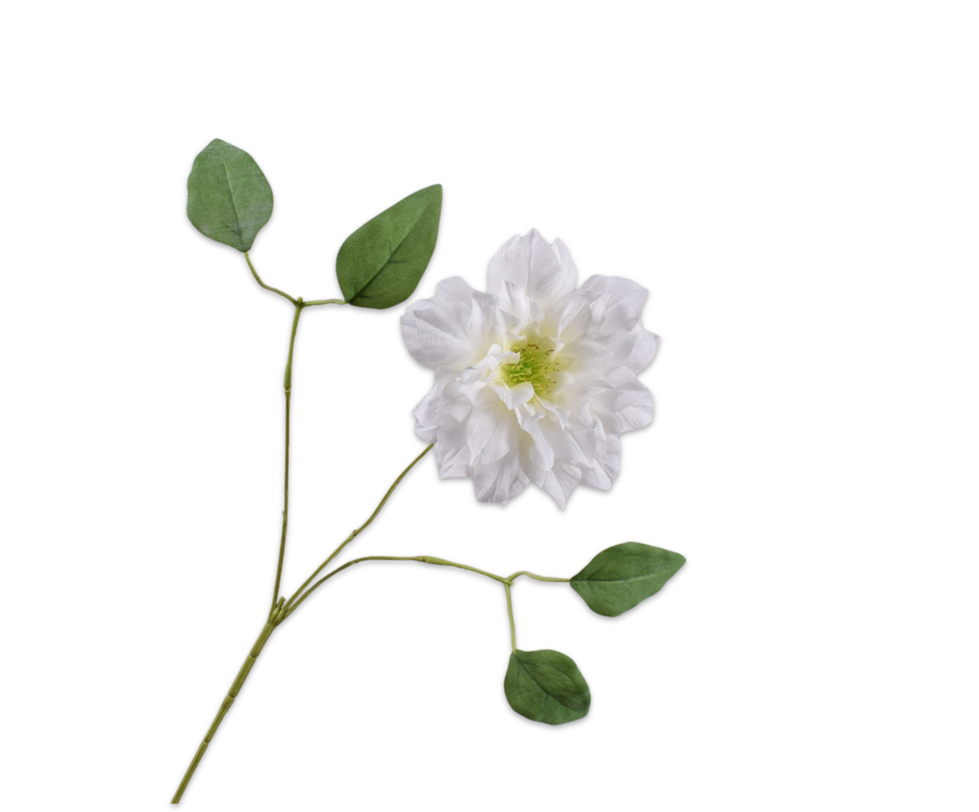 CLEMATIS SPRAY WHITE  65 CM