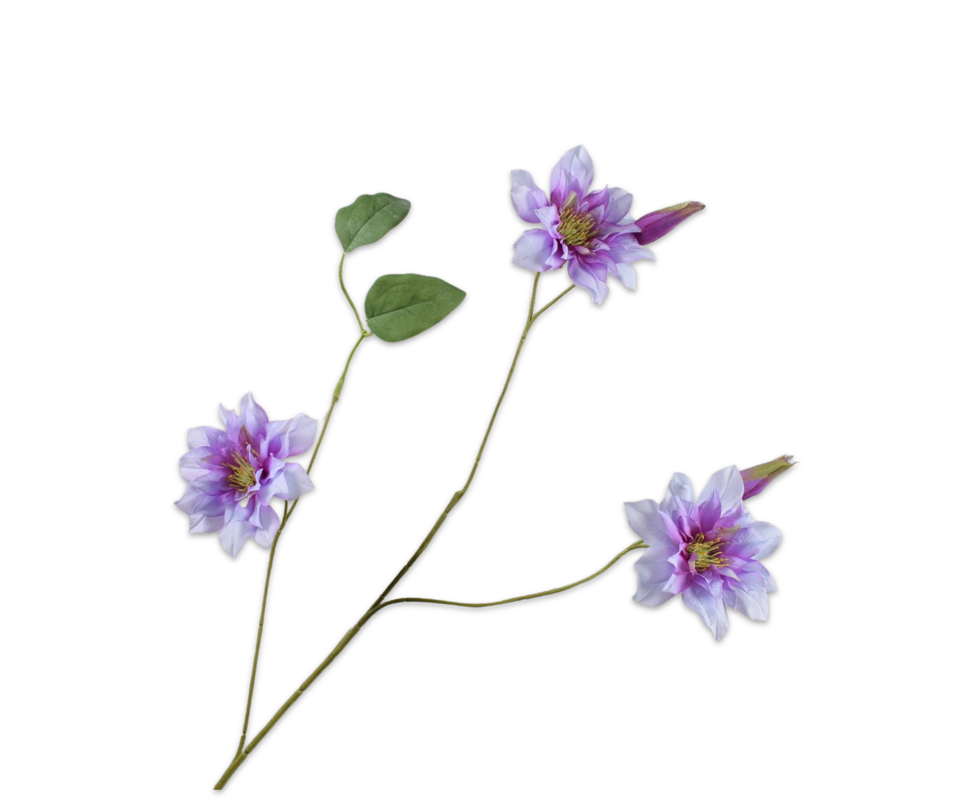 CLEMATIS SPRAY LAVEND  98 CM