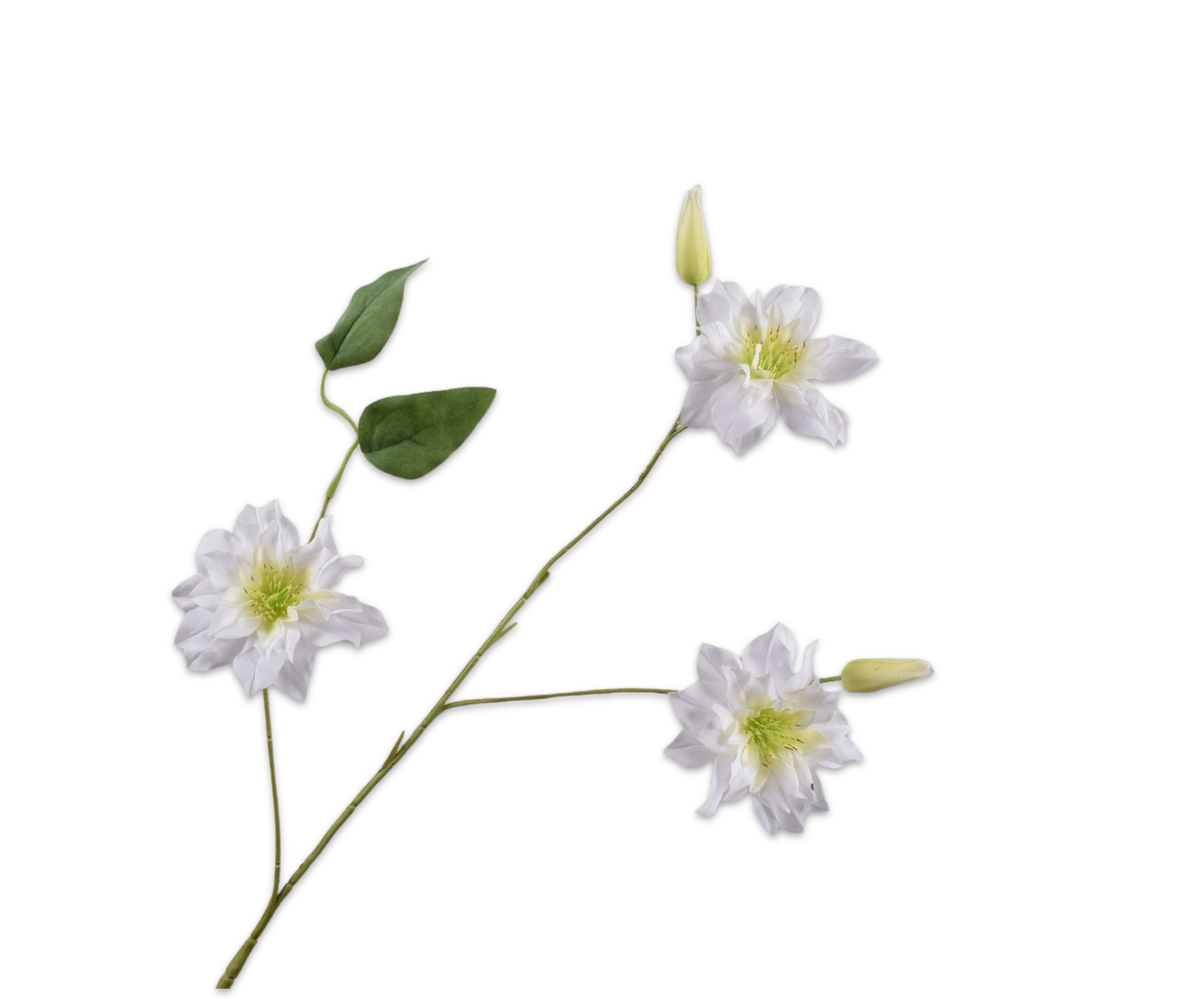 CLEMATIS SPRAY WHITE  98 CM