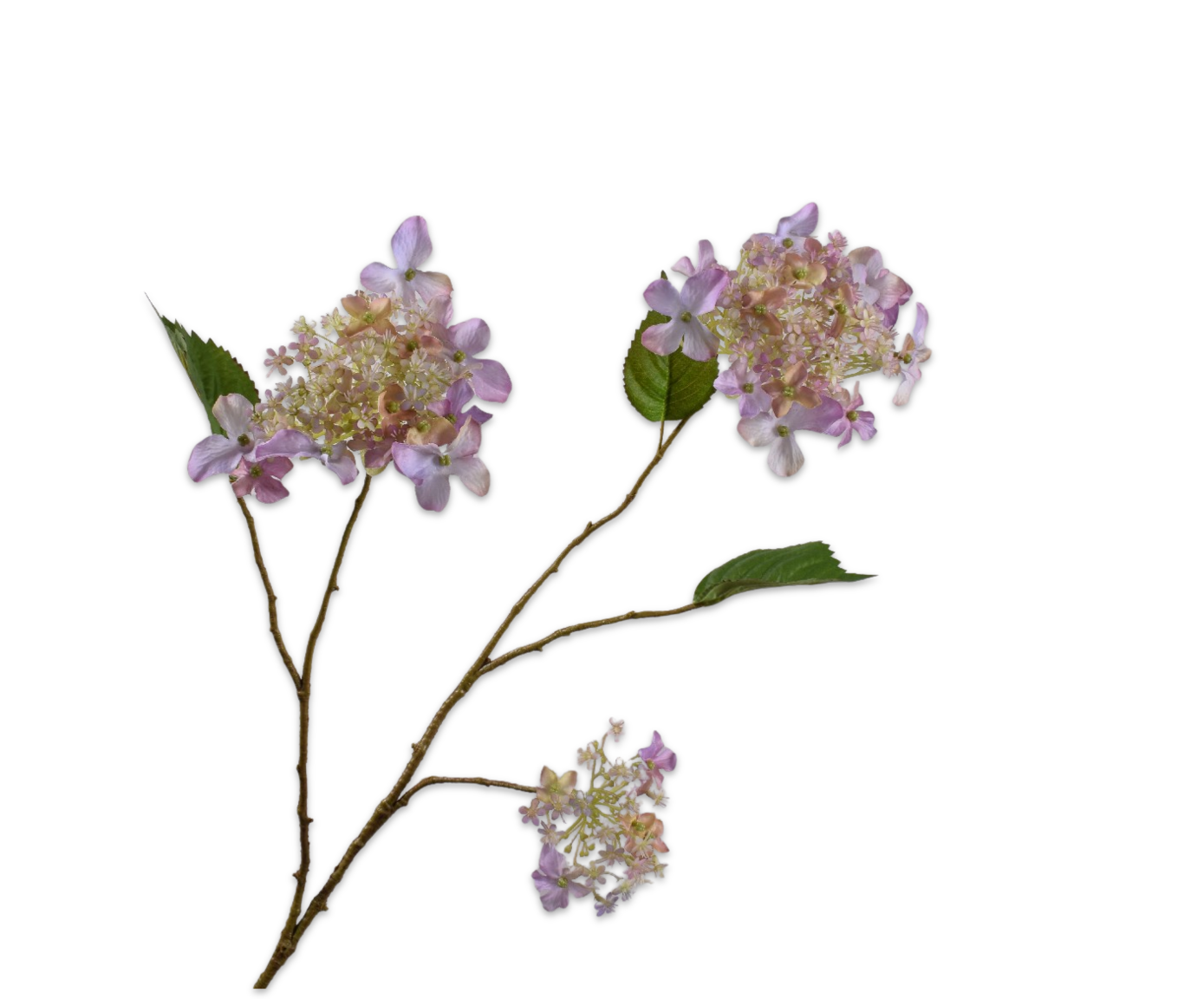 HORTENSIA RAMIFIÉE LAVAND RT  99 CM