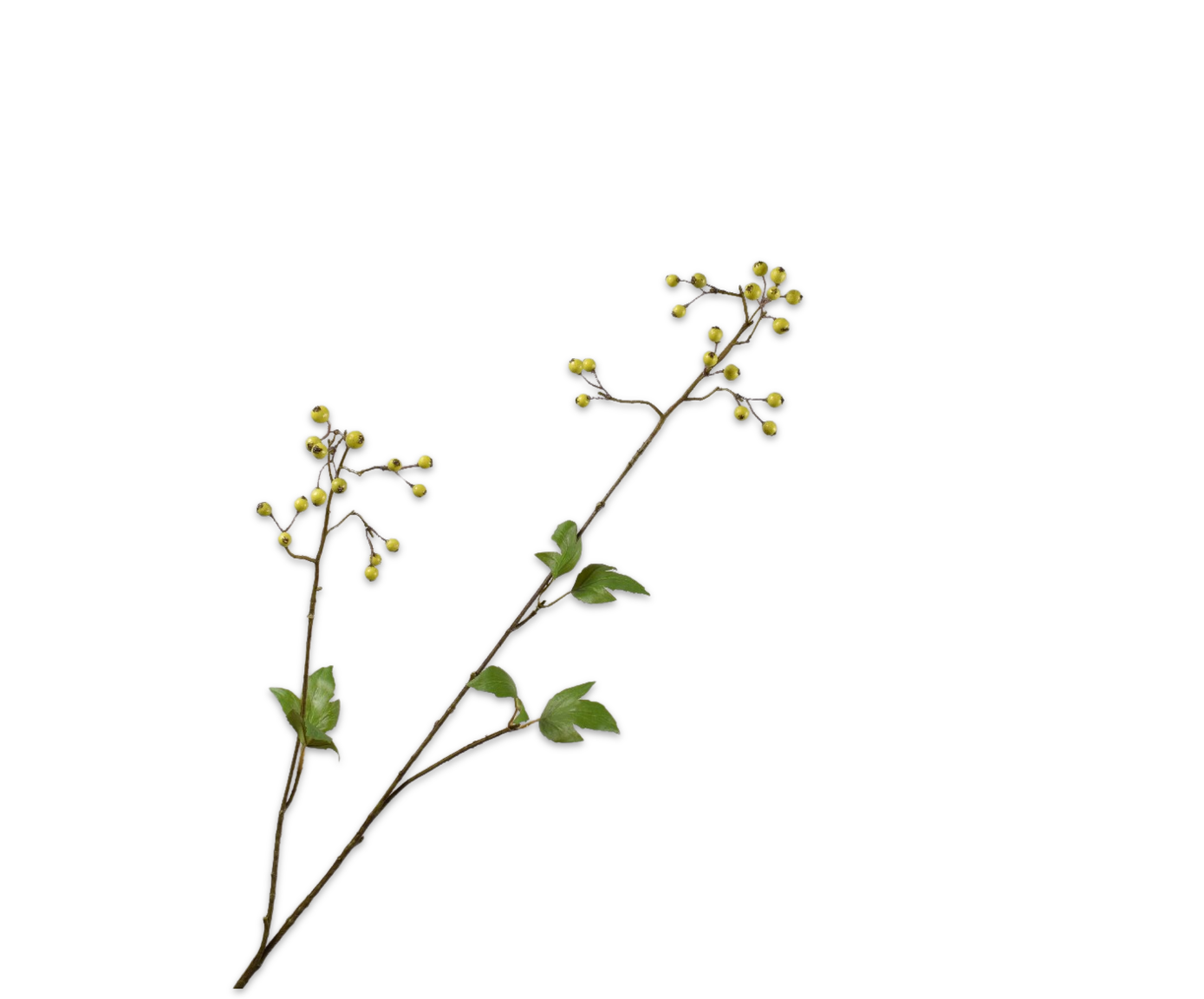 RAMA BAYAS  VERDE  93 CM