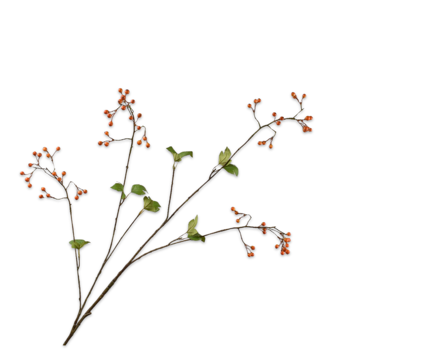 RAMA BAYAS  NARANJA  125 CM