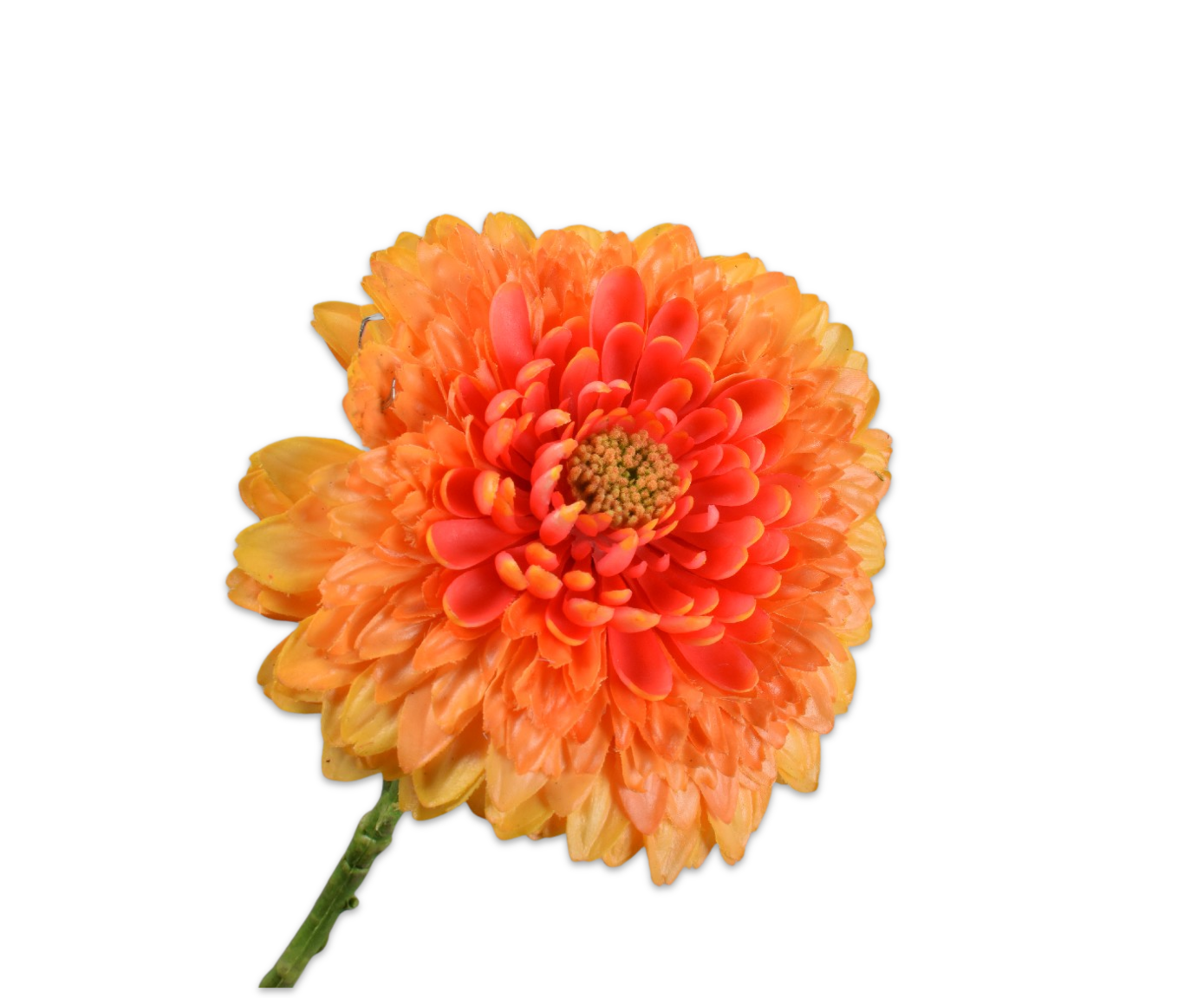 Blume Orange Blte Langer Stiel