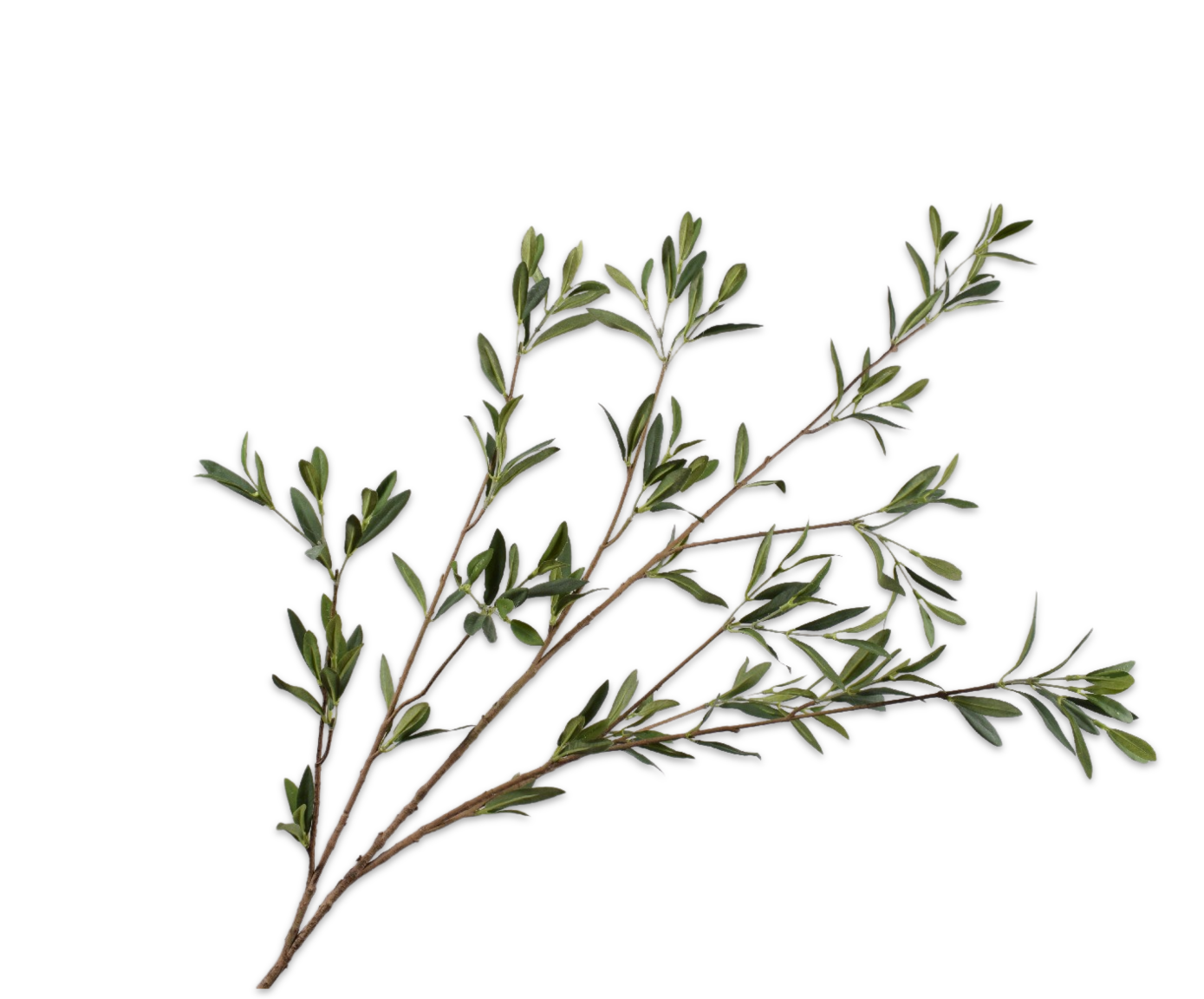 OLIVE SPRAY GREEN  130 CM