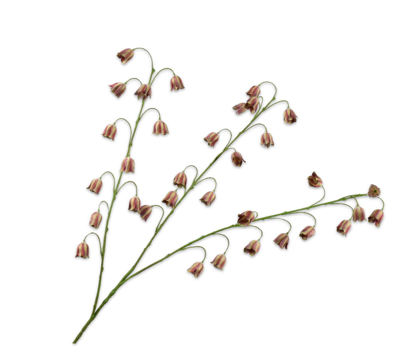FRITILLARIA SPRAY BUR/GRN  97 CM