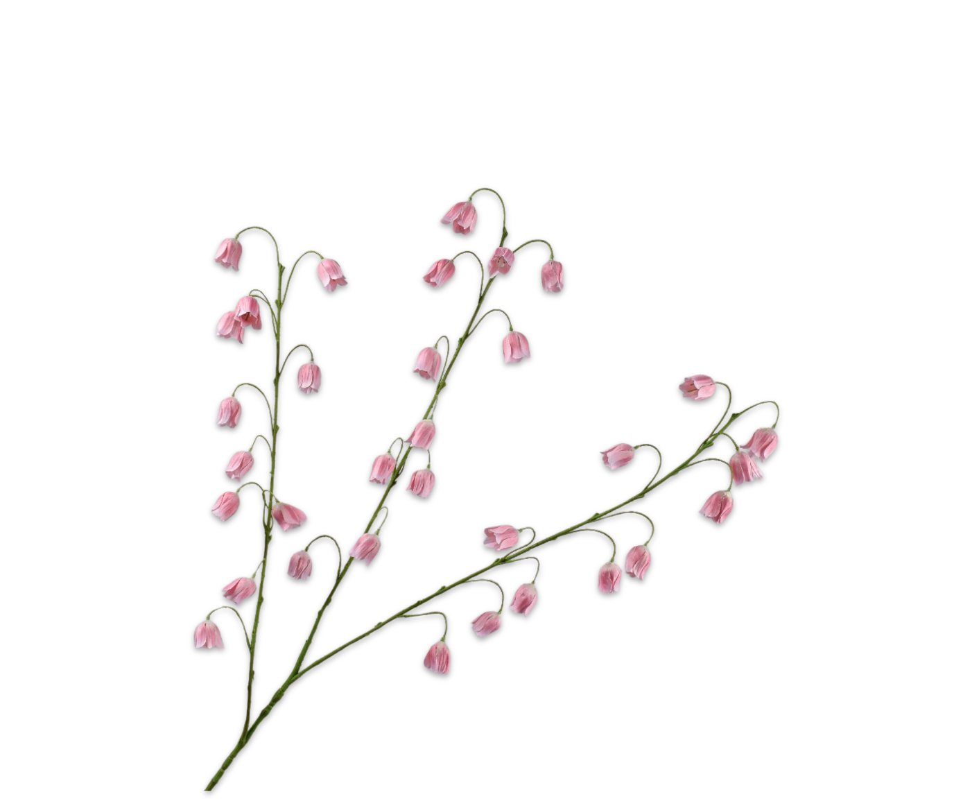 FRITILLARIA SPRAY PINK  97 CM