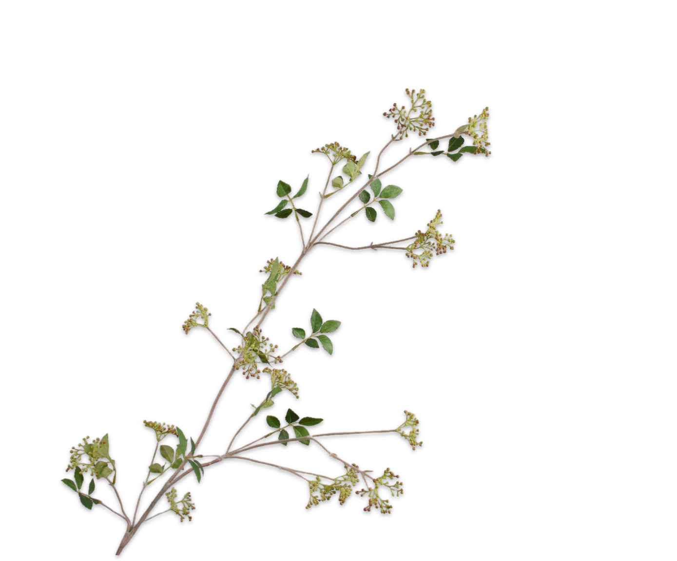 BERRY SPRAY  MVE/GRN  112 CM