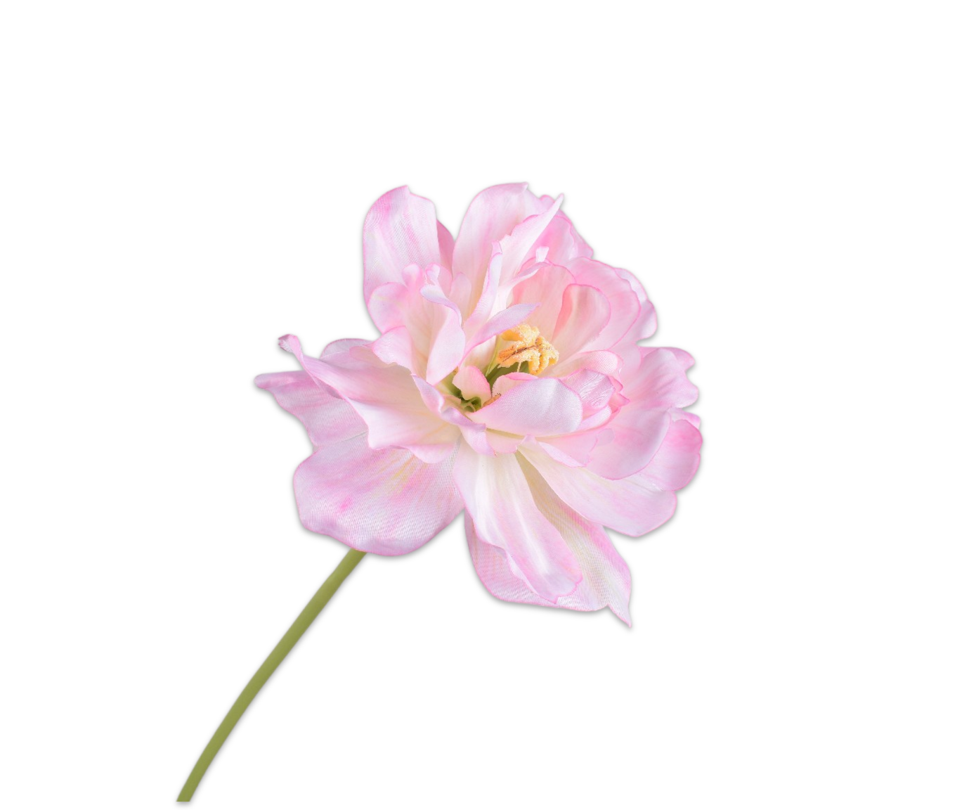 TULP STEEL ROZE LT  69 cm