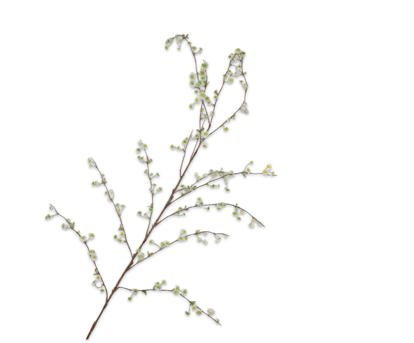 MARGARITA RAMA BLANCO  136 CM