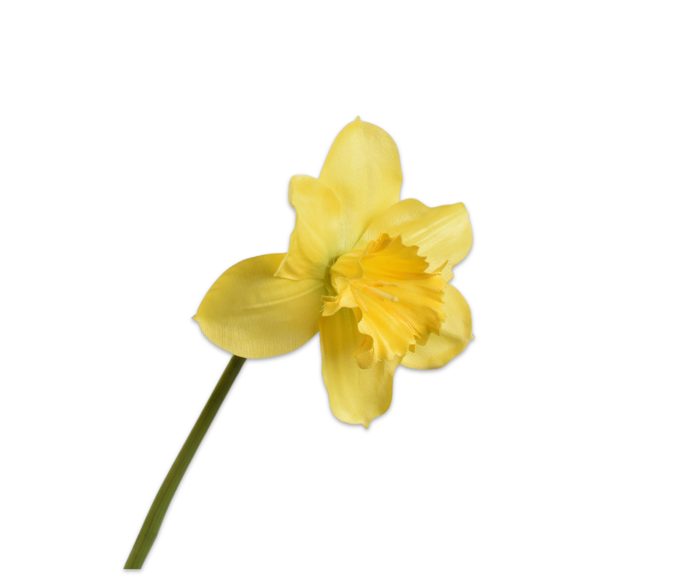 NARCISSUS STEM YELLOW  58 CM