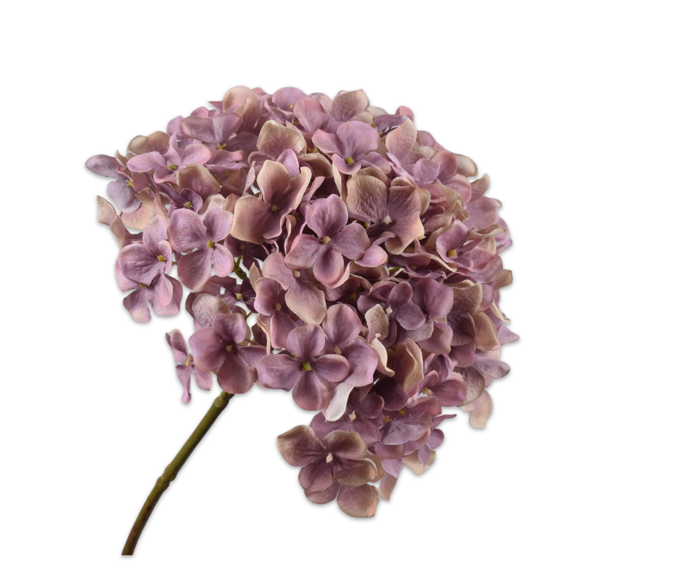 HYDRANGEA STEM LAVEND  50 CM