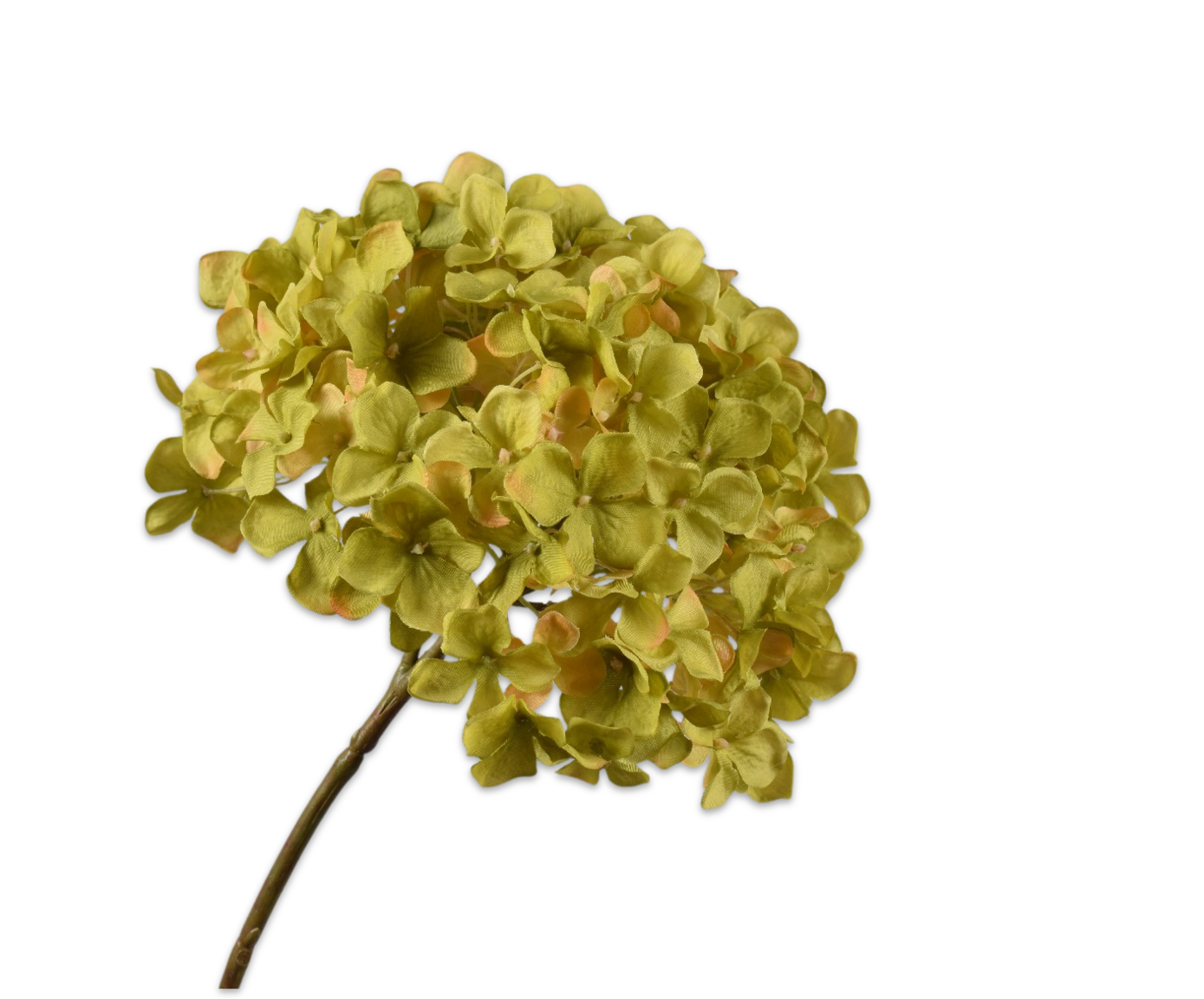 HYDRANGEA STEM GREEN  50 CM