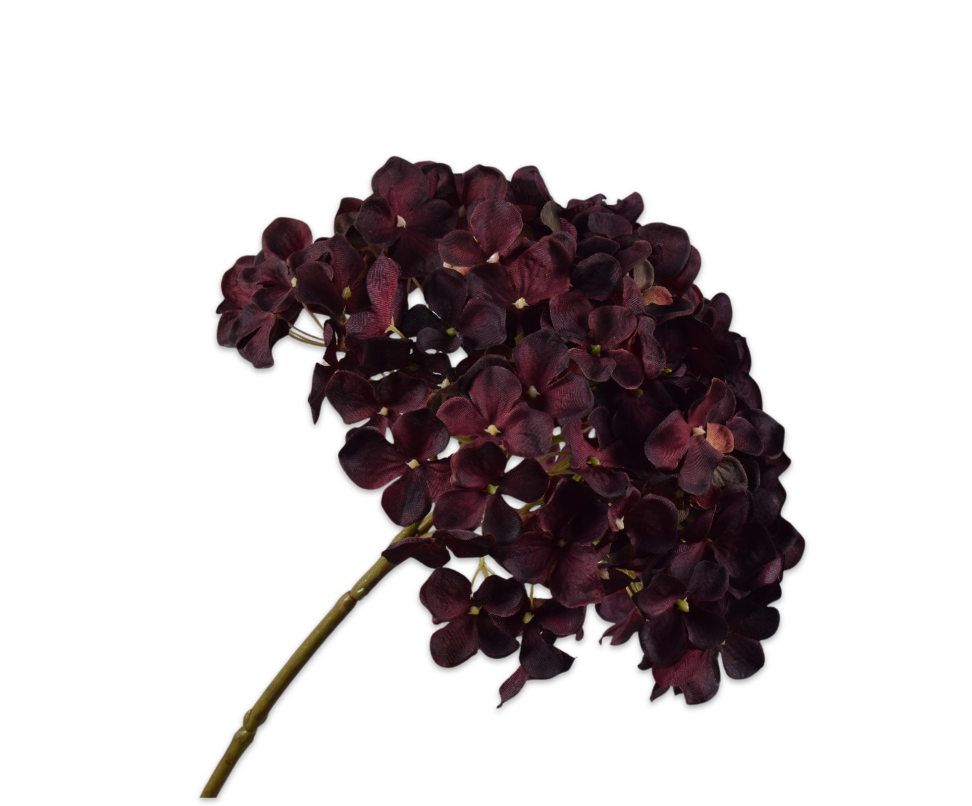 HYDRANGEA STEM BURGUND  50 CM