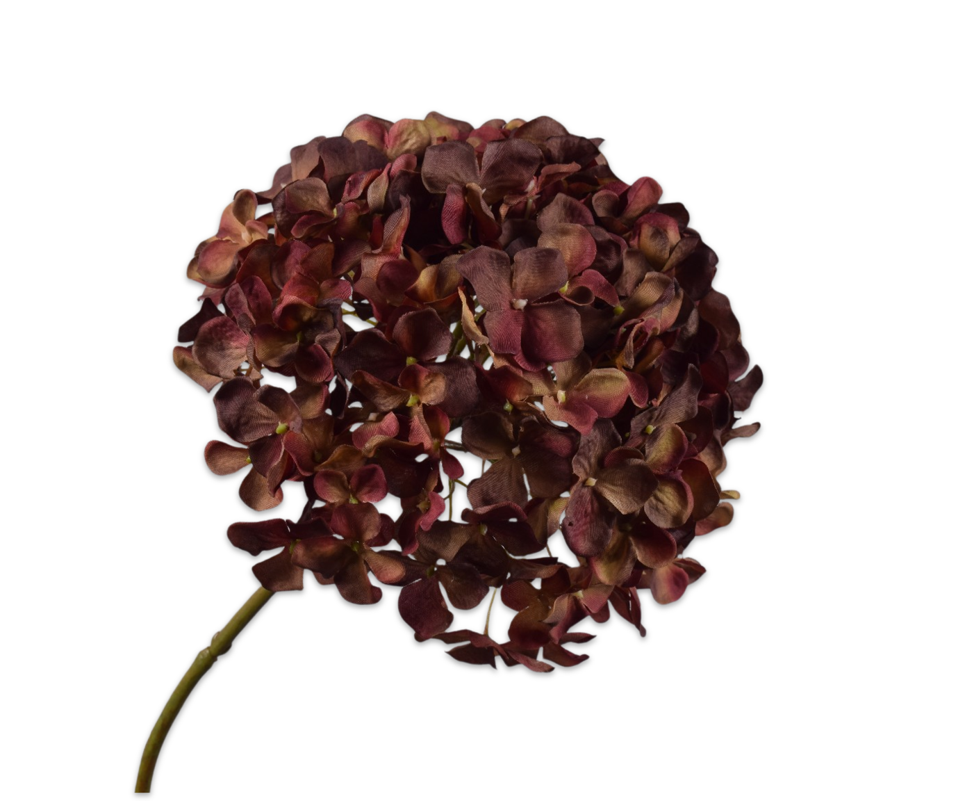 HYDRANGEA STEM RED/BROWN  50 CM