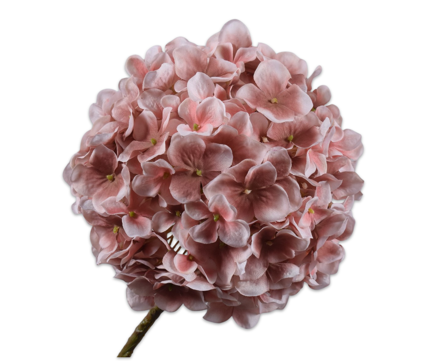 ORTENSIA STELO MALVA  70 CM