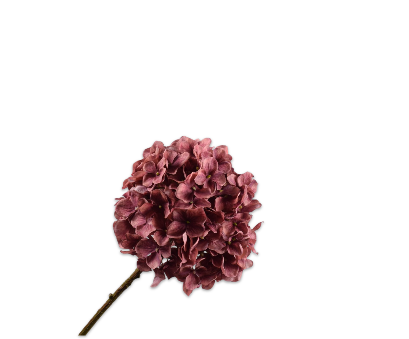 ORTENSIA STELO ROSA  70 CM