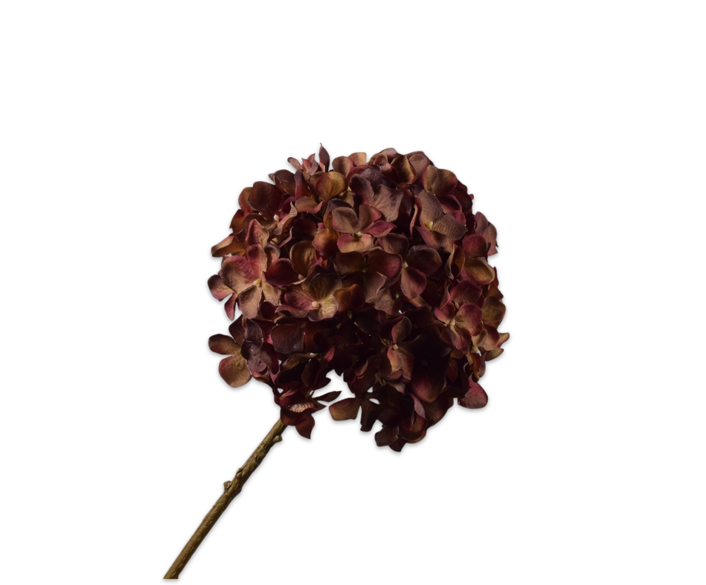 ORTENSIA STELO ROSSO/MARONN  70 CM