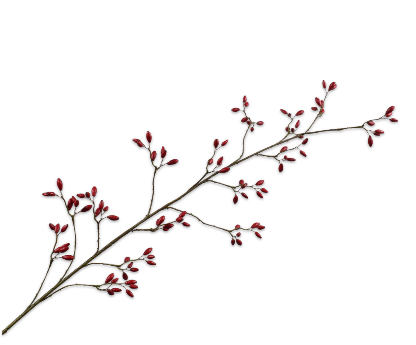 ROSEHIP SPRAY RED  147 CM