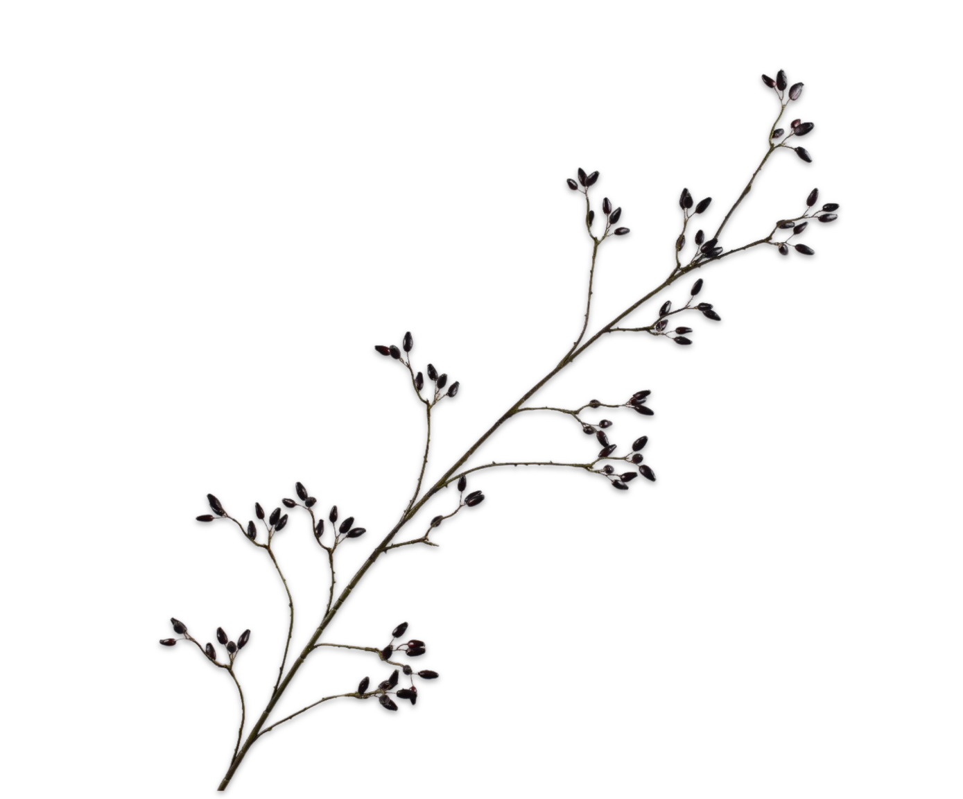 ROSEHIP SPRAY PURPLE  147 CM