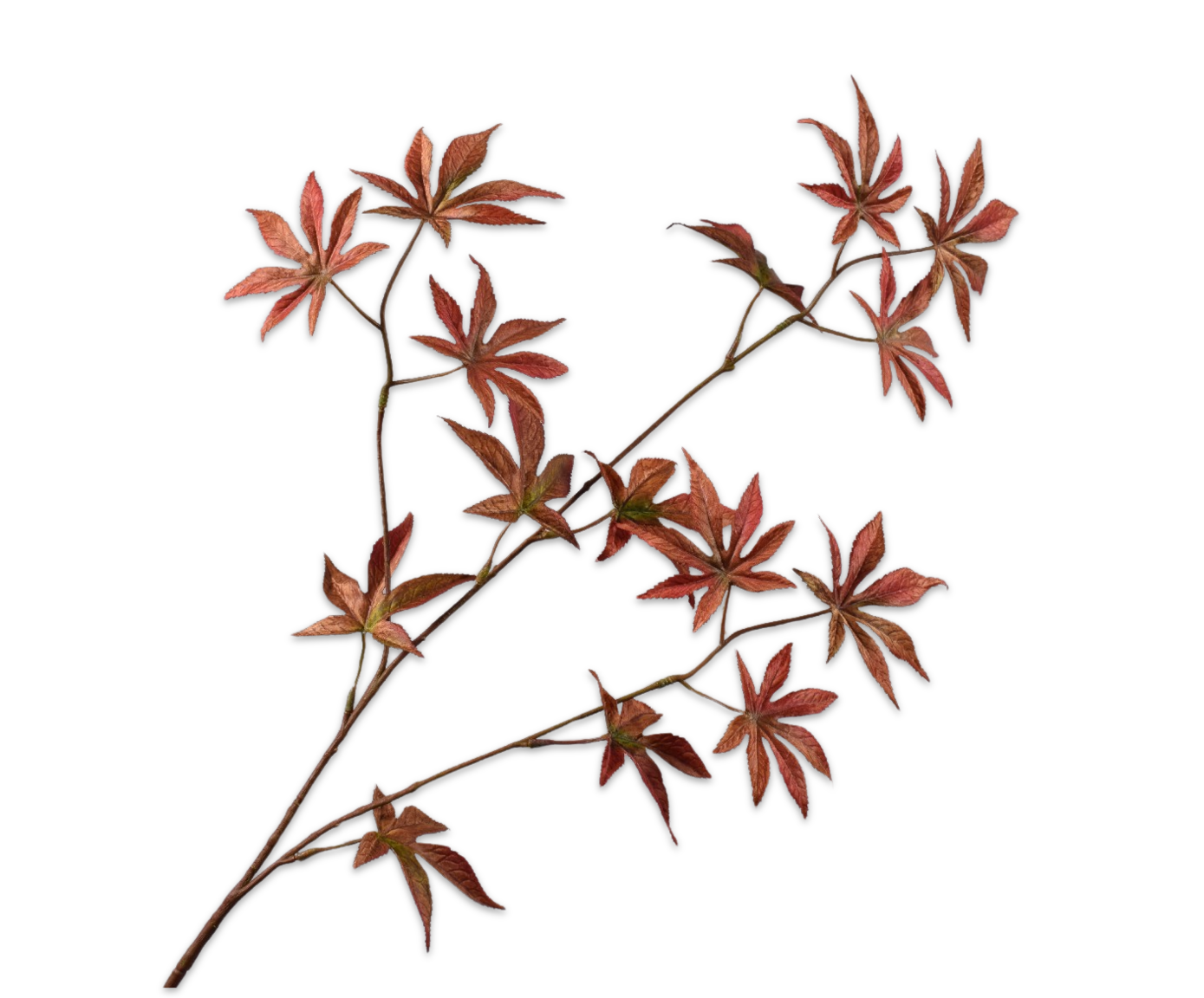 MAPLE SPRAY BROWN  96 CM